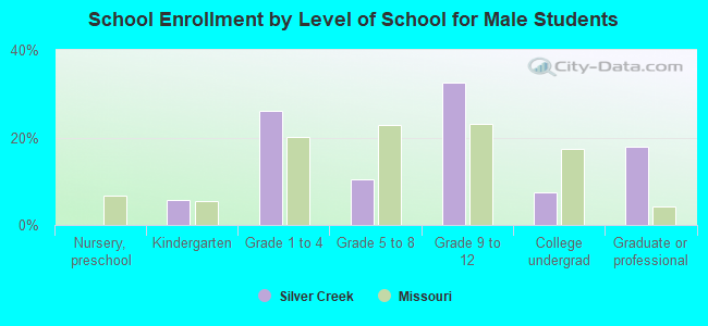 School Enrollment by Level of School for Male Students