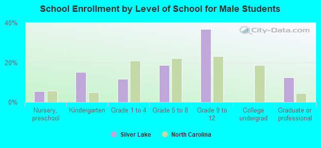 School Enrollment by Level of School for Male Students