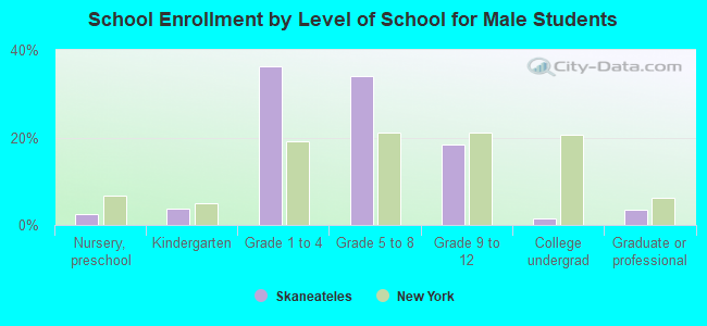 School Enrollment by Level of School for Male Students