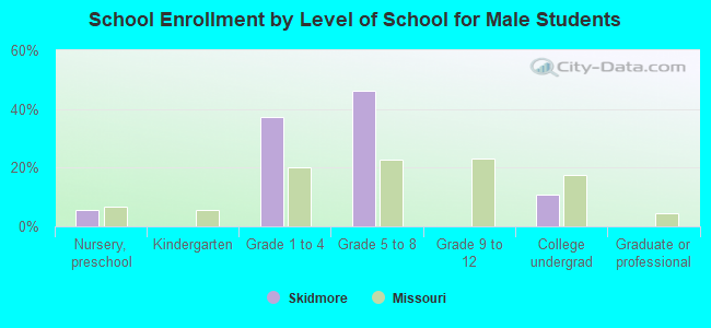 School Enrollment by Level of School for Male Students