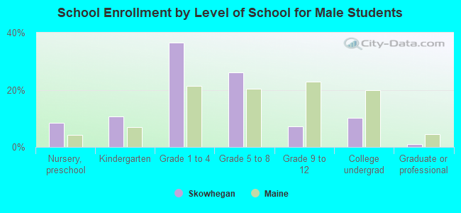 School Enrollment by Level of School for Male Students