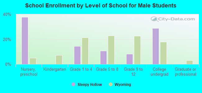 School Enrollment by Level of School for Male Students