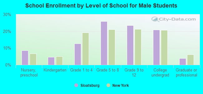 School Enrollment by Level of School for Male Students