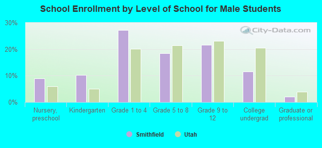 School Enrollment by Level of School for Male Students