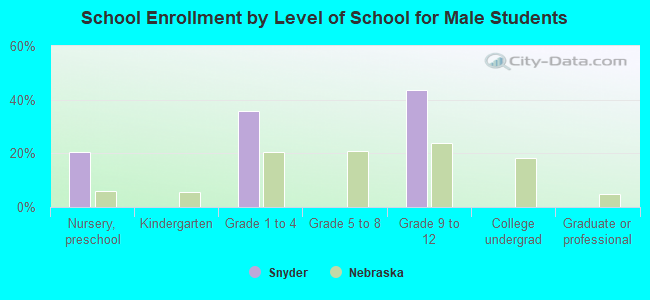 School Enrollment by Level of School for Male Students