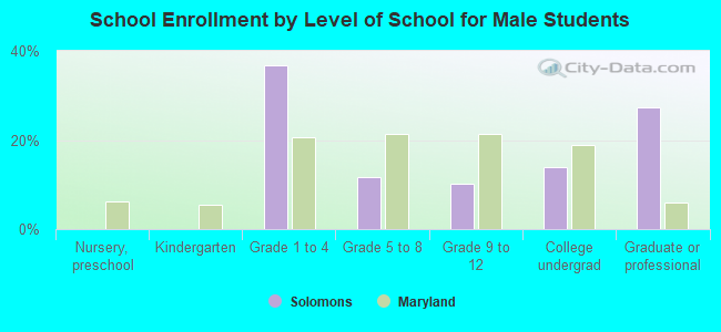 School Enrollment by Level of School for Male Students