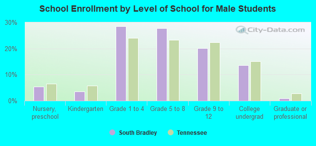 School Enrollment by Level of School for Male Students