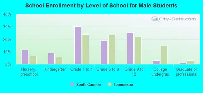 School Enrollment by Level of School for Male Students