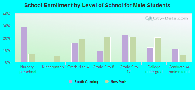 School Enrollment by Level of School for Male Students