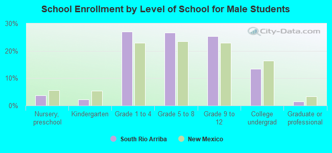 School Enrollment by Level of School for Male Students