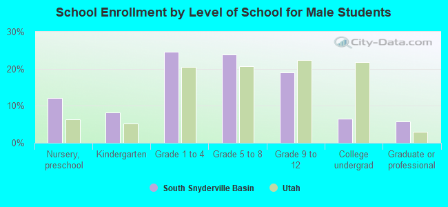 School Enrollment by Level of School for Male Students