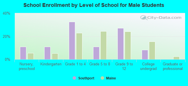 School Enrollment by Level of School for Male Students