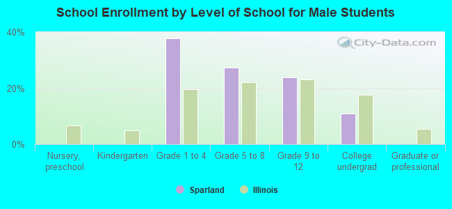 School Enrollment by Level of School for Male Students