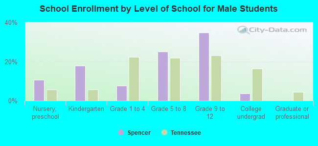 School Enrollment by Level of School for Male Students