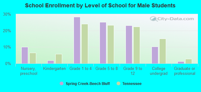 School Enrollment by Level of School for Male Students