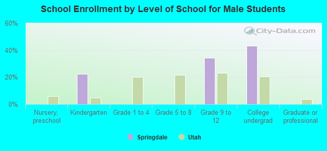 School Enrollment by Level of School for Male Students