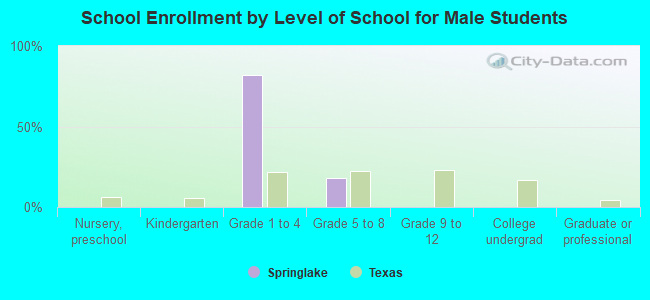 School Enrollment by Level of School for Male Students