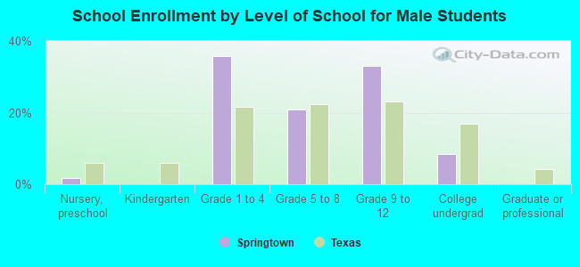 School Enrollment by Level of School for Male Students