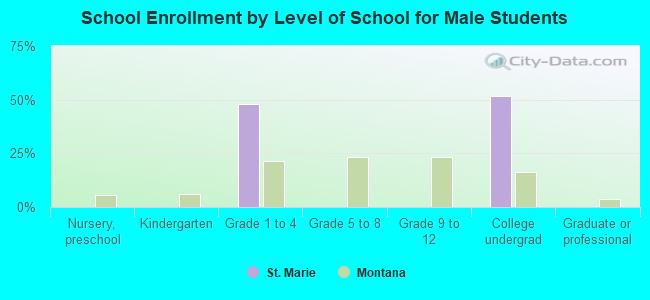 School Enrollment by Level of School for Male Students