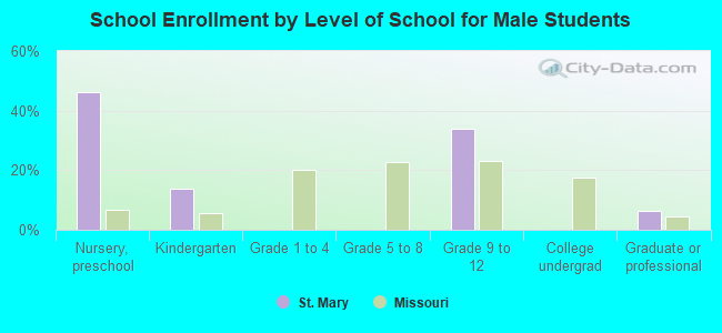 School Enrollment by Level of School for Male Students