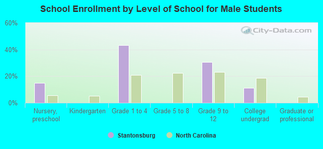 School Enrollment by Level of School for Male Students