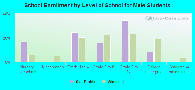 School Enrollment by Level of School for Male Students