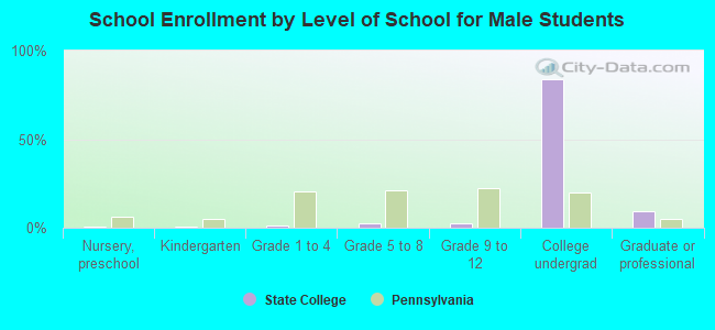 School Enrollment by Level of School for Male Students