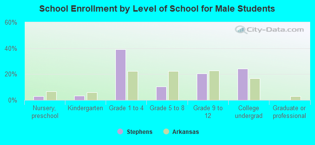 School Enrollment by Level of School for Male Students