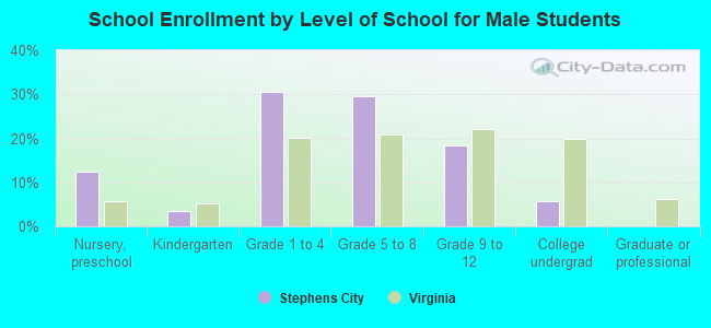 School Enrollment by Level of School for Male Students