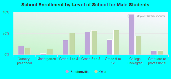 School Enrollment by Level of School for Male Students