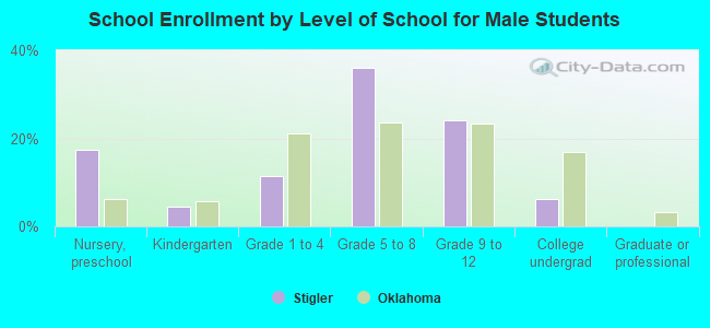 School Enrollment by Level of School for Male Students