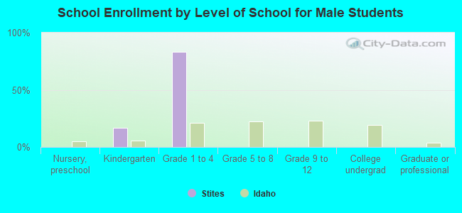 School Enrollment by Level of School for Male Students