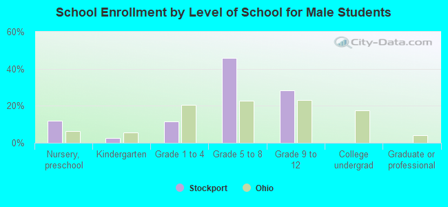 School Enrollment by Level of School for Male Students