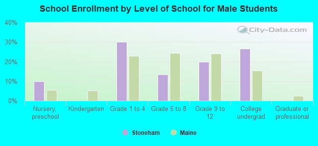 School Enrollment by Level of School for Male Students