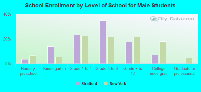 School Enrollment by Level of School for Male Students