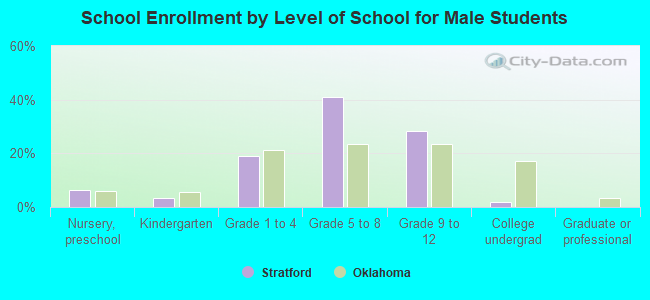 School Enrollment by Level of School for Male Students