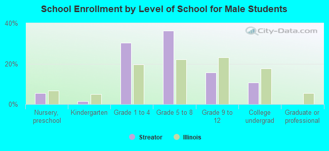 School Enrollment by Level of School for Male Students