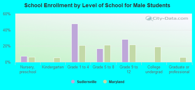 School Enrollment by Level of School for Male Students