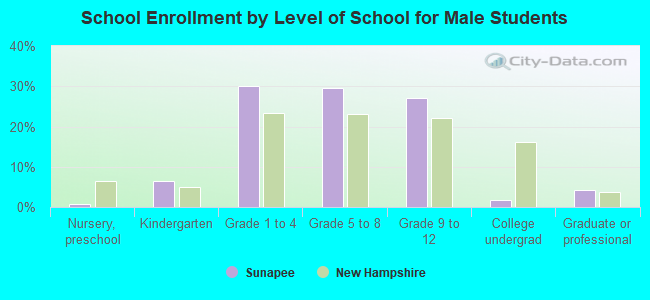 School Enrollment by Level of School for Male Students