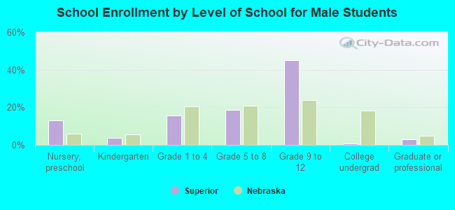 School Enrollment by Level of School for Male Students