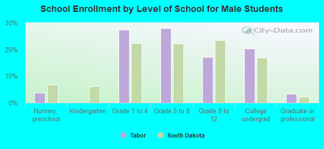 School Enrollment by Level of School for Male Students