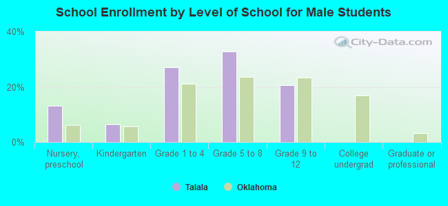 School Enrollment by Level of School for Male Students