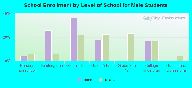 School Enrollment by Level of School for Male Students