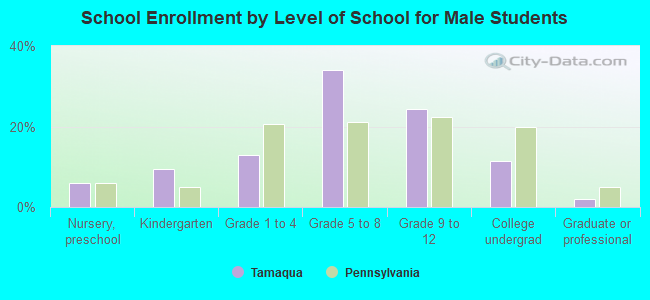 School Enrollment by Level of School for Male Students