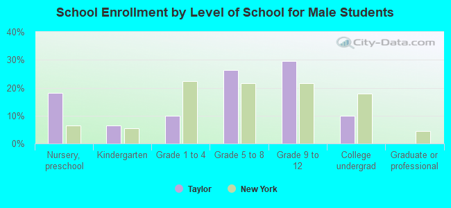 School Enrollment by Level of School for Male Students