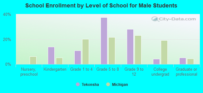 School Enrollment by Level of School for Male Students