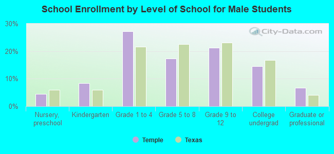 School Enrollment by Level of School for Male Students