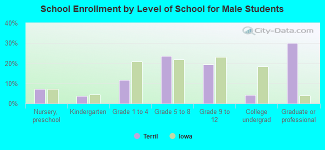 School Enrollment by Level of School for Male Students