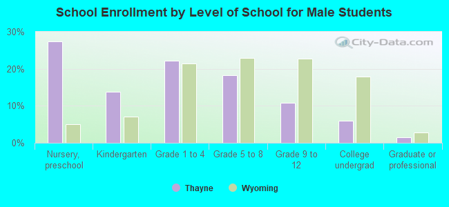 School Enrollment by Level of School for Male Students