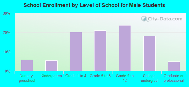 School Enrollment by Level of School for Male Students